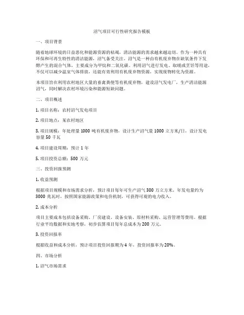 沼气项目可行性研究报告模板
