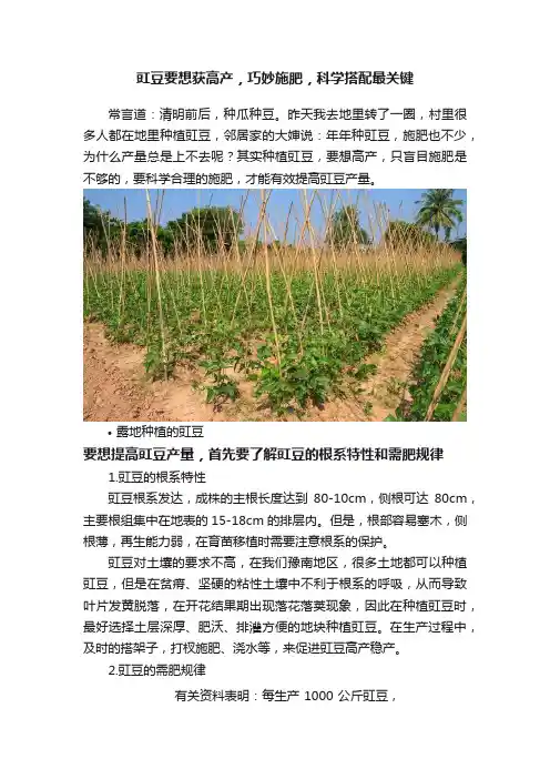 豇豆要想获高产，巧妙施肥，科学搭配最关键