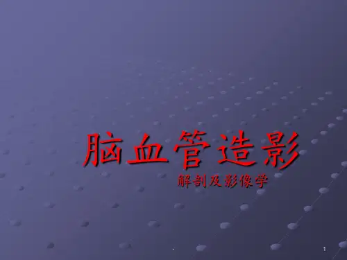脑血管造影解剖及影像表现ppt课件