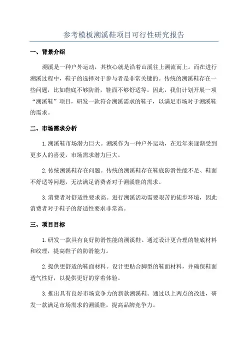 参考模板溯溪鞋项目可行性研究报告