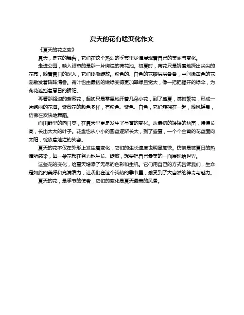 夏天的花有啥变化作文