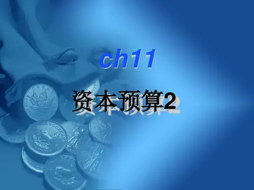 资本预算ppt课件