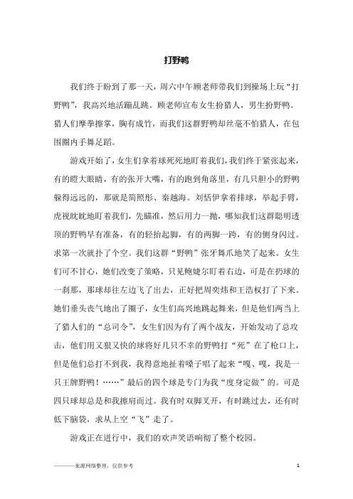 打野鸭_四年级作文