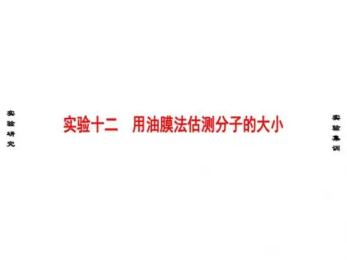 实验12 用油膜法估测分子的大小 (共17张PPT)