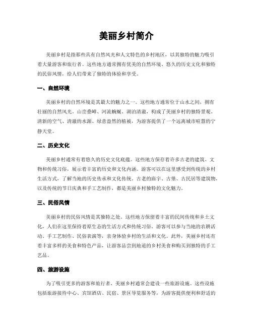 美丽乡村简介