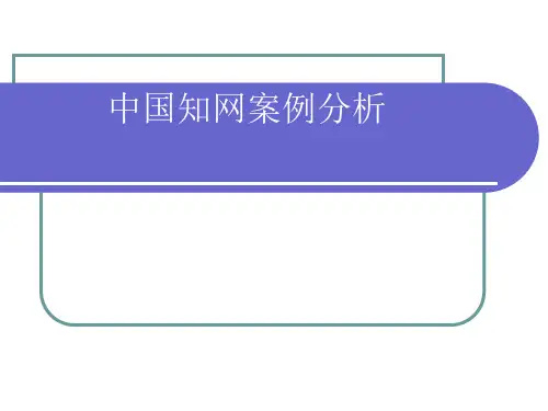 中国知网案例分析