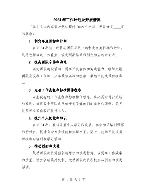 2024年工作计划及开展情况