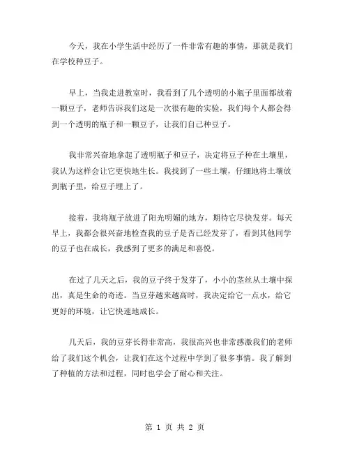 种豆子小学日记范文