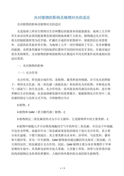 光对植物的影响及植物对光的适应