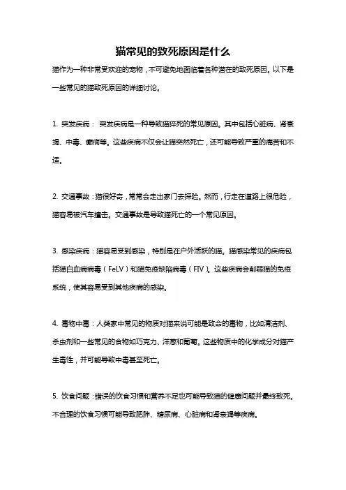 猫常见的致死原因是什么