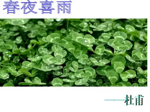 语文六年级上人教新课标《春夜喜雨》课件(38)(16张)