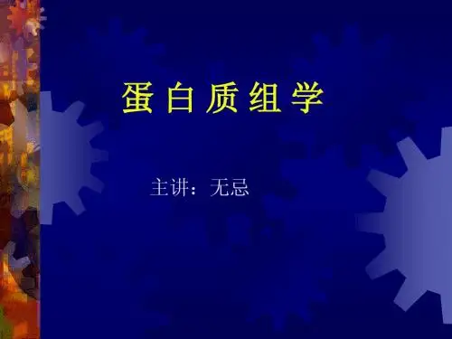 蛋 白 质 组 学