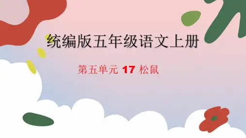 17 松鼠课件(共23张ppt)