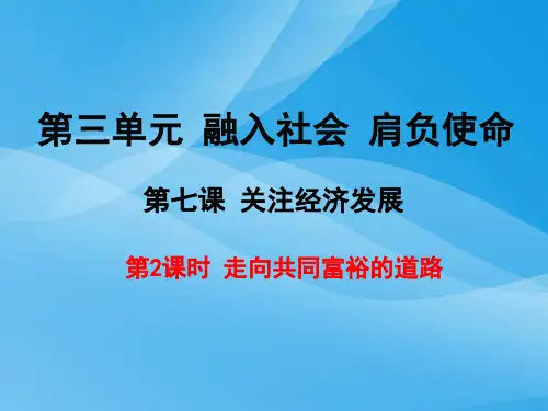 走向共同富裕的道路PPT课件17 人教版