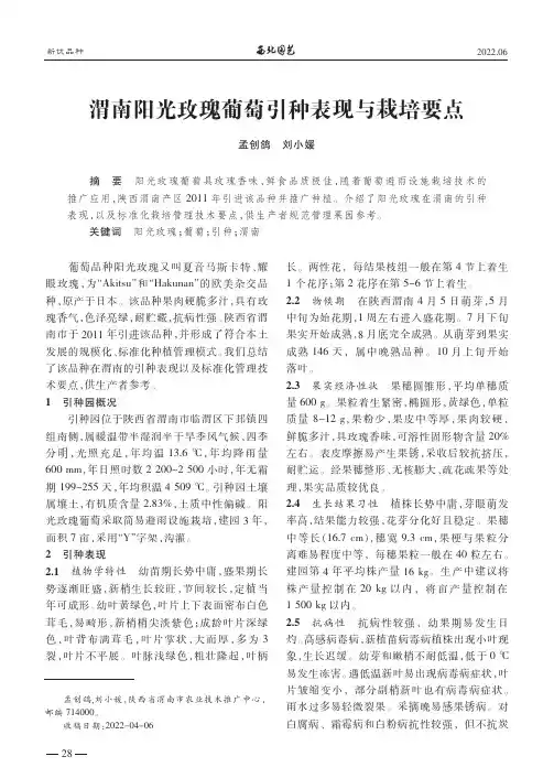渭南阳光玫瑰葡萄引种表现与栽培要点