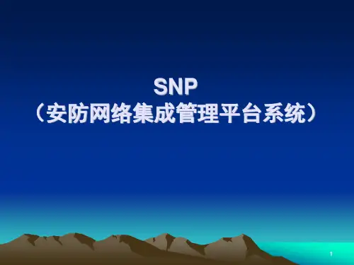 SNP(安防网络集成管理平台系统)