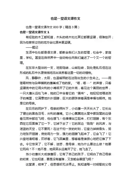 也是一堂语文课作文800字（精选3篇）