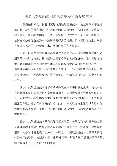 浅谈飞灰熔融使用纯氧燃烧技术的发展前景