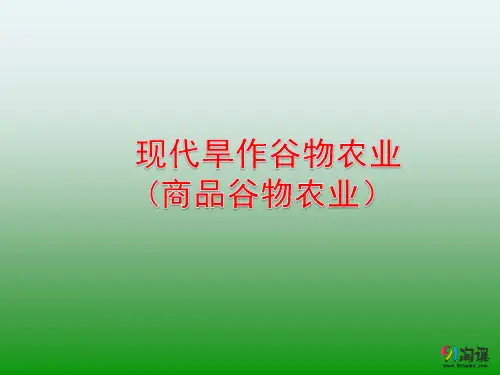 课件22：3.2 现代旱作谷物农业
