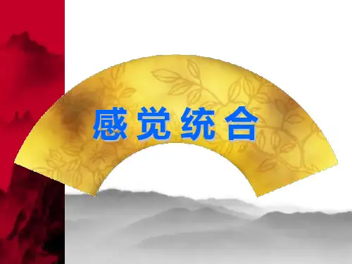感觉统合理论和实践