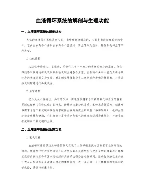 血液循环系统的解剖与生理功能