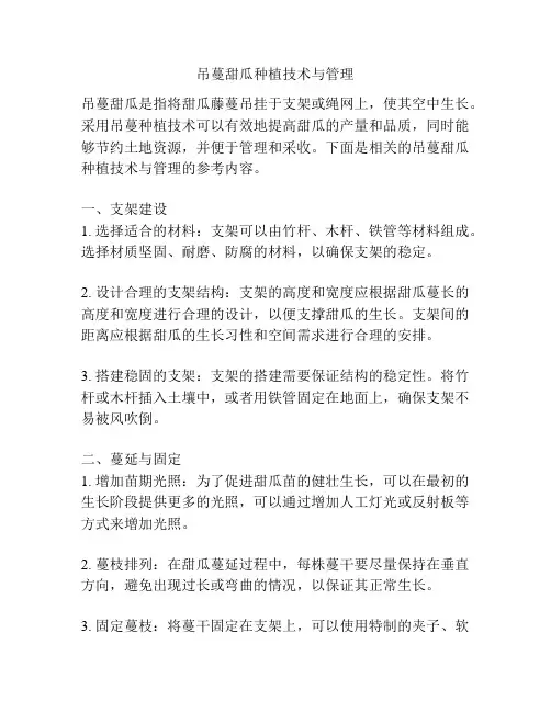 吊蔓甜瓜种植技术与管理