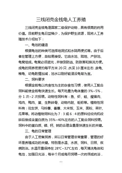 三线闭壳金钱龟人工养殖