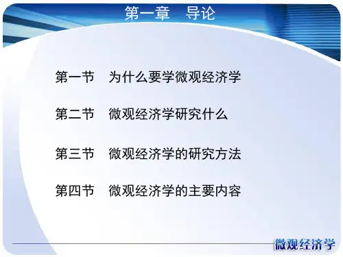 南京大学微观经济学课件共17页文档