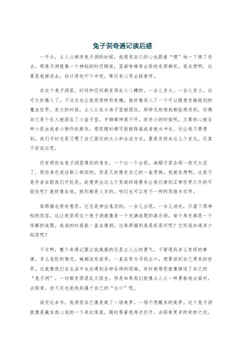 兔子洞奇遇记读后感