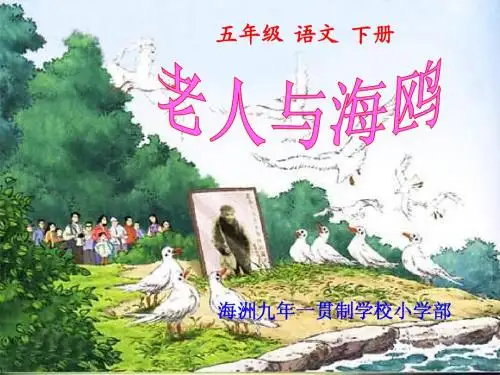 五年级语文(S版)老人与海鸥课件