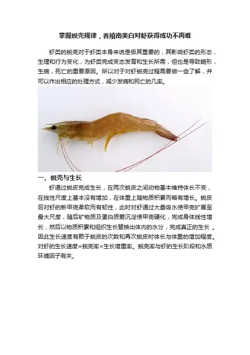 掌握蜕壳规律，养殖南美白对虾获得成功不再难