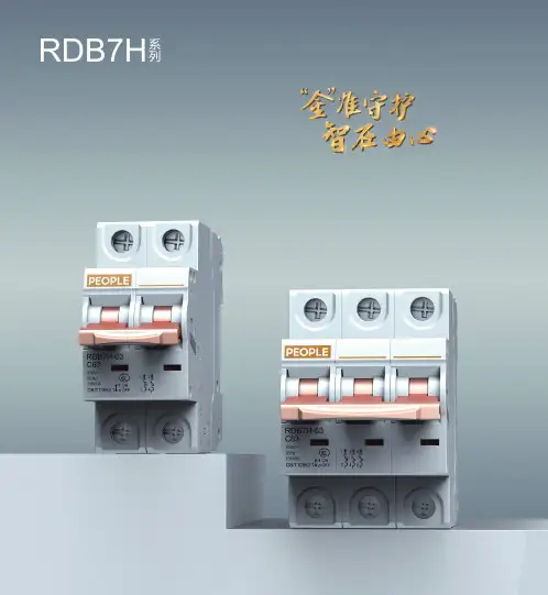 人民电器 RDB7LE-63系列小型剩余电流动作断路器 选型说明书