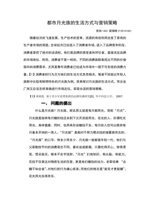 青年月光族的生活方式与营销策略