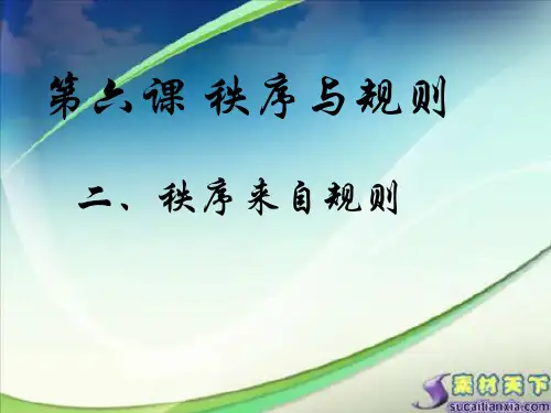 秩序来自规则 教学用
