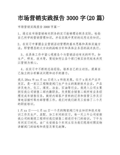 市场营销实践报告3000字(20篇) 