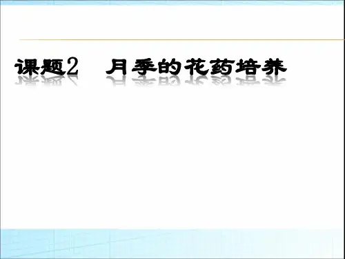 人教版高中生物选修(一) 3.2月季的花药培养 课件 (12) (共27张PPT)