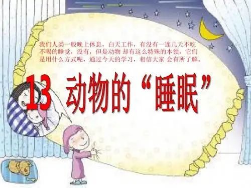 《动物的睡眠》 精品课件2