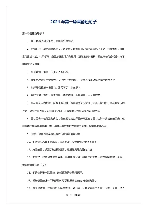 2024年第一场雪的短句子
