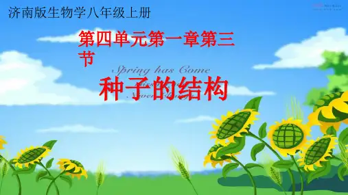 济南版生物学八年级上册《种子的结构》公开课课件