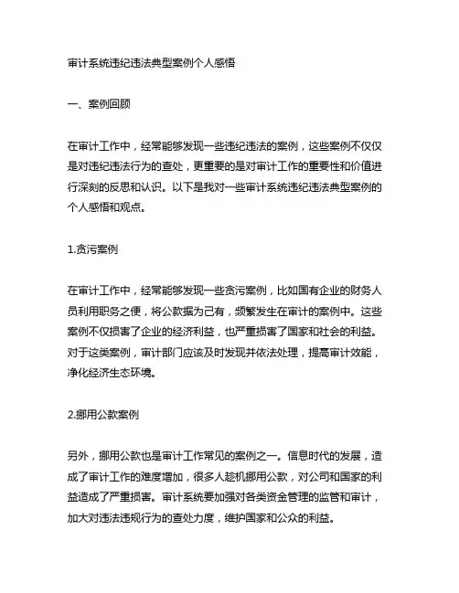 审计系统违纪违法典型案例个人感悟