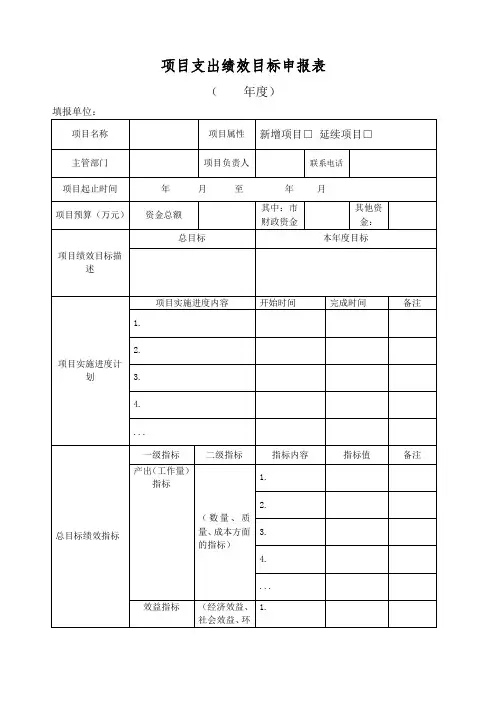 项目支出绩效目标申报表 及填报说明 填写示范 模板 