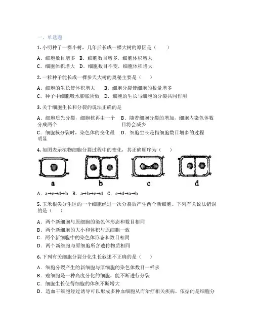 人教版生物 七年级上册 第一节 细胞通过分裂产生新细胞 课后练习题
