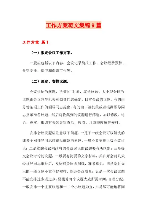 (精选模板)工作方案范文集锦9篇
