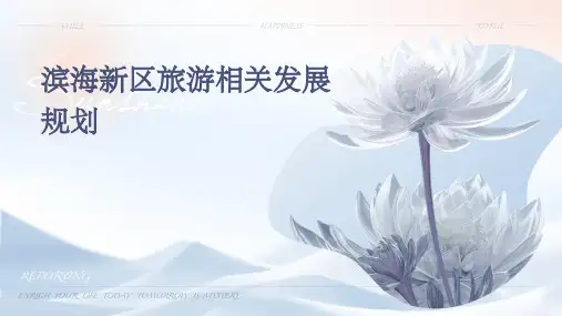 滨海新区旅游相关发展规划