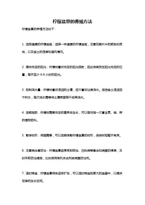 柠檬盆景的养殖方法