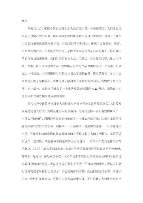 宠物公司概述