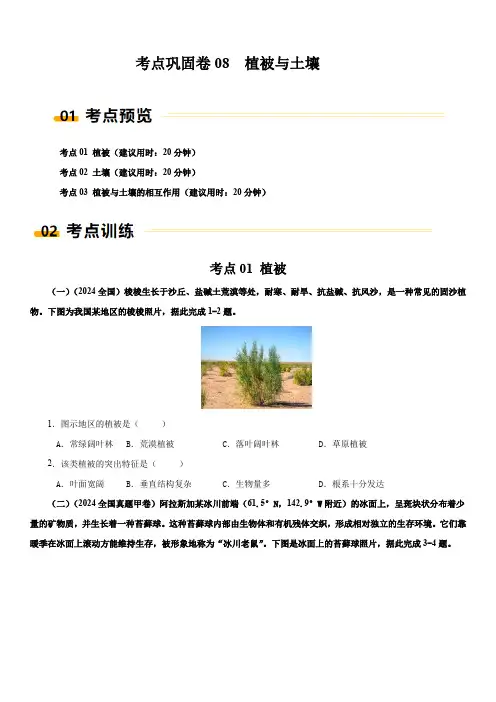 2025年上海市地理等级考一轮复习考点精练  考点巩固卷8植被与土壤含详解