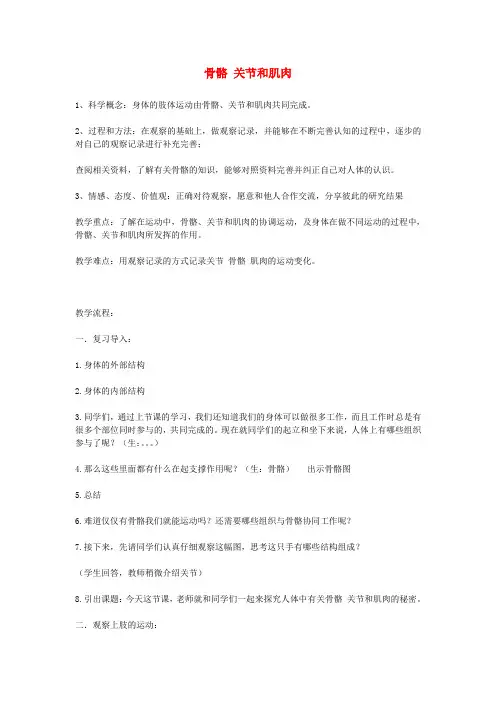 四年级科学上册《骨骼关节和肌肉》教案1 教科版