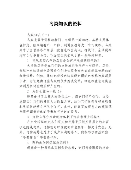 鸟类知识的资料