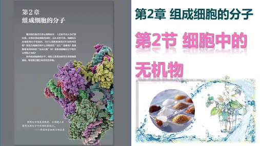 细胞中的无机物ppt课件